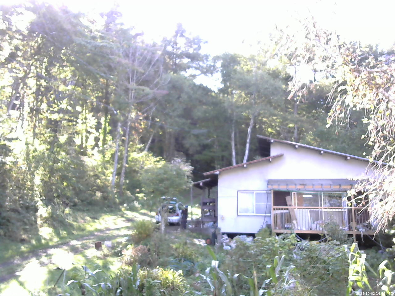 長野県菅平高原 ゆたか山荘 西側(坂上) 2025/10/02 14:45