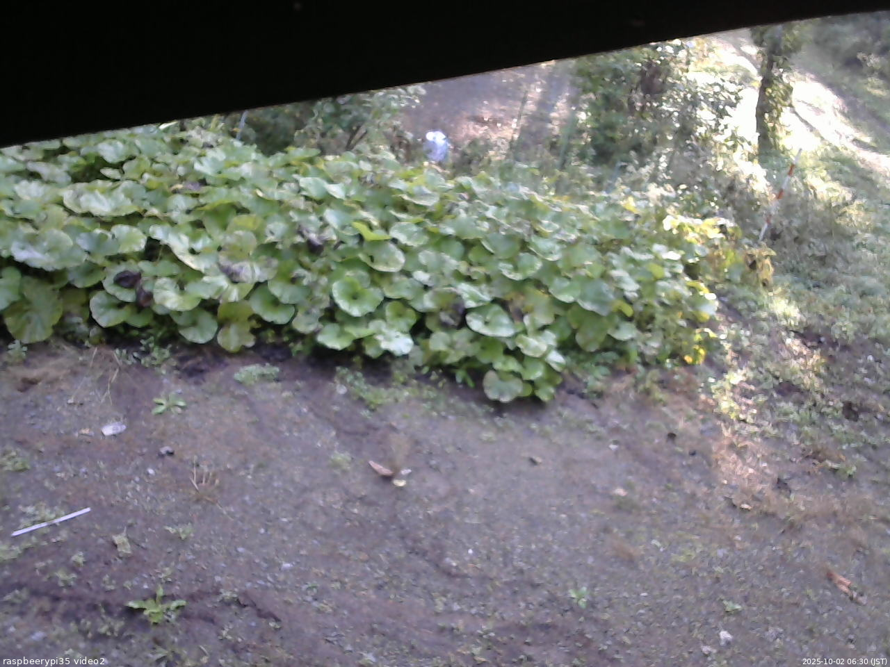 長野県菅平高原 ゆたか山荘 駐車場 2025/10/02 06:30