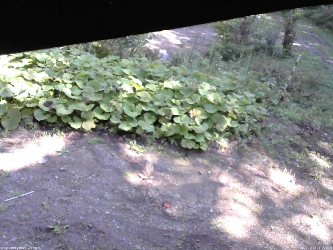 長野県菅平高原 ゆたか山荘 駐車場 2025/10/02 11:15