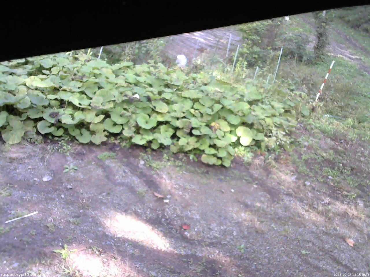 長野県菅平高原 ゆたか山荘 駐車場 2025/10/02 13:15
