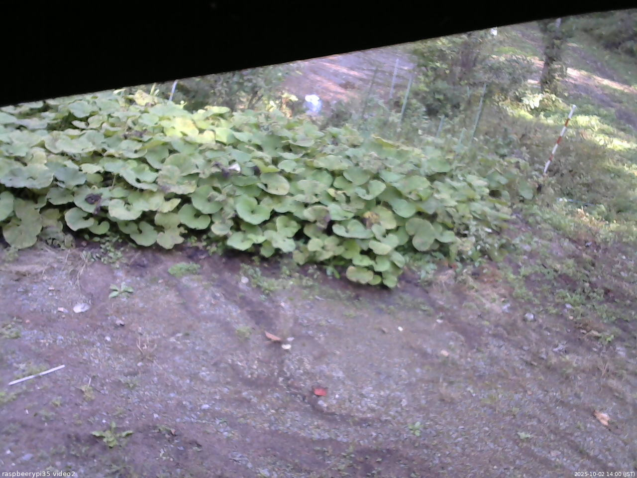 長野県菅平高原 ゆたか山荘 駐車場 2025/10/02 14:00