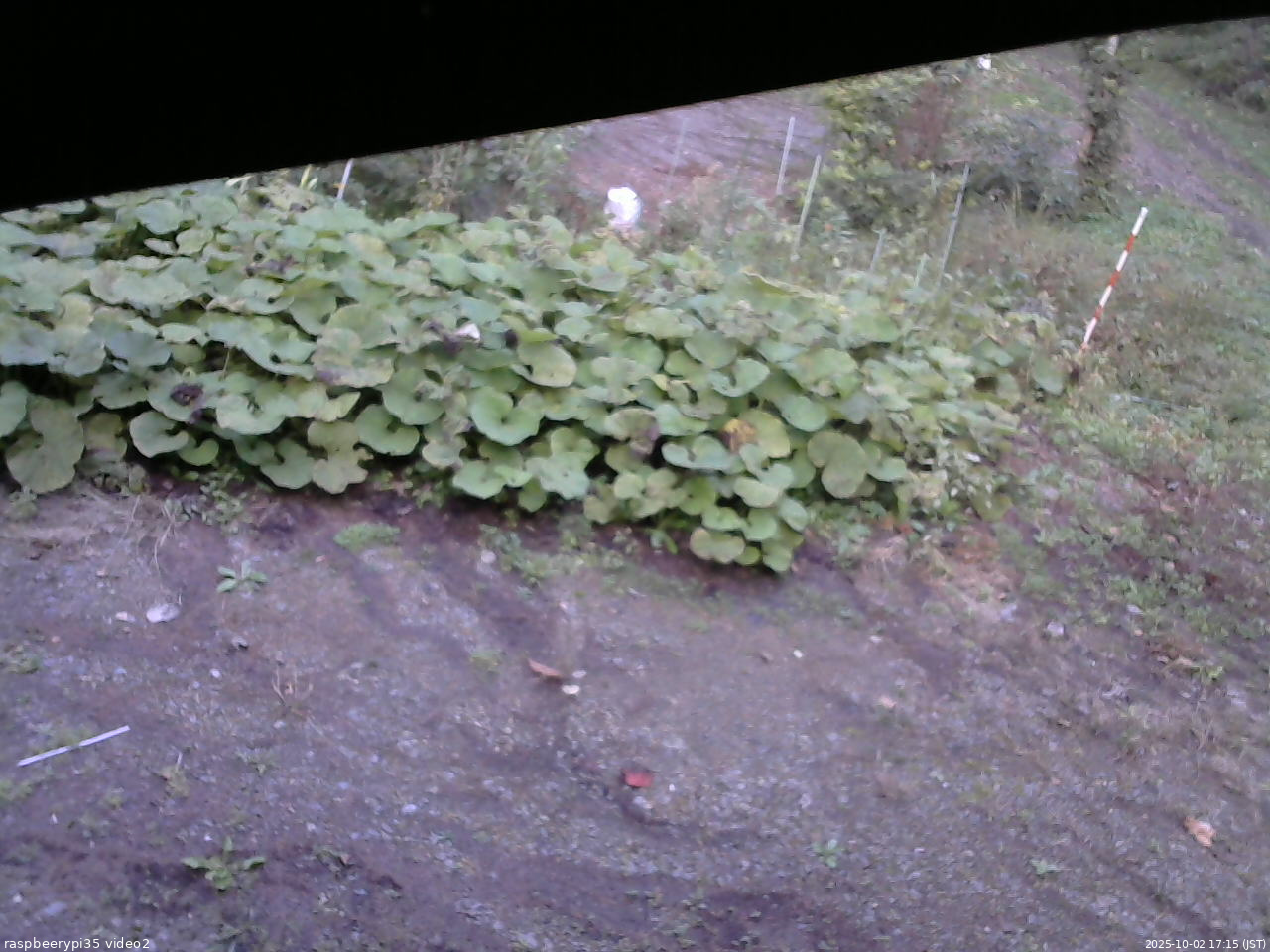 長野県菅平高原 ゆたか山荘 駐車場 2025/10/02 17:15