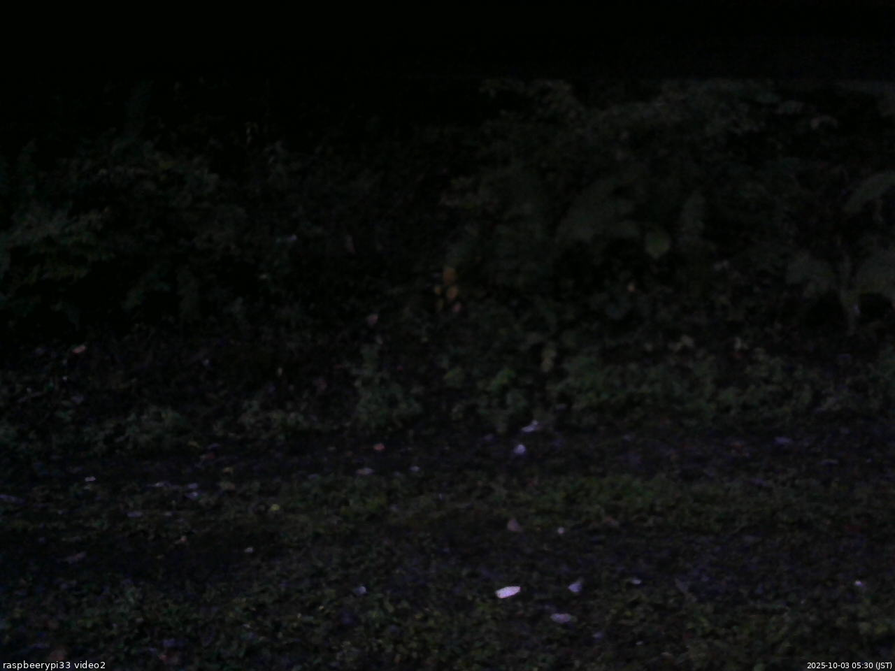 長野県菅平高原 ゆたか山荘 南側 2025/10/03 05:30
