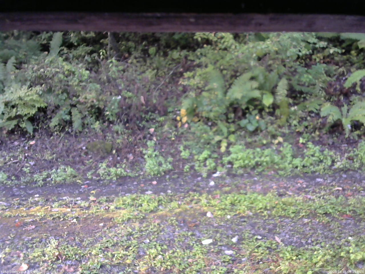 長野県菅平高原 ゆたか山荘 南側 2025/10/03 06:15