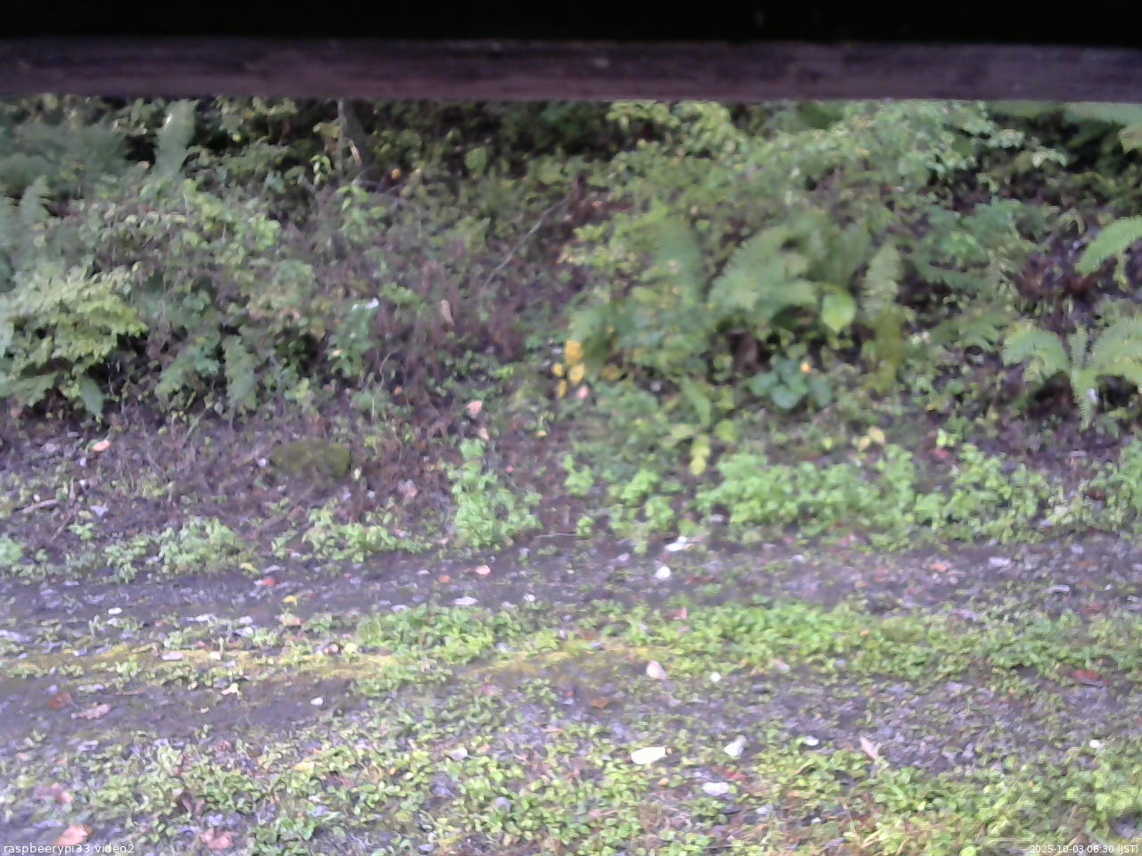 長野県菅平高原 ゆたか山荘 南側 2025/10/03 06:30