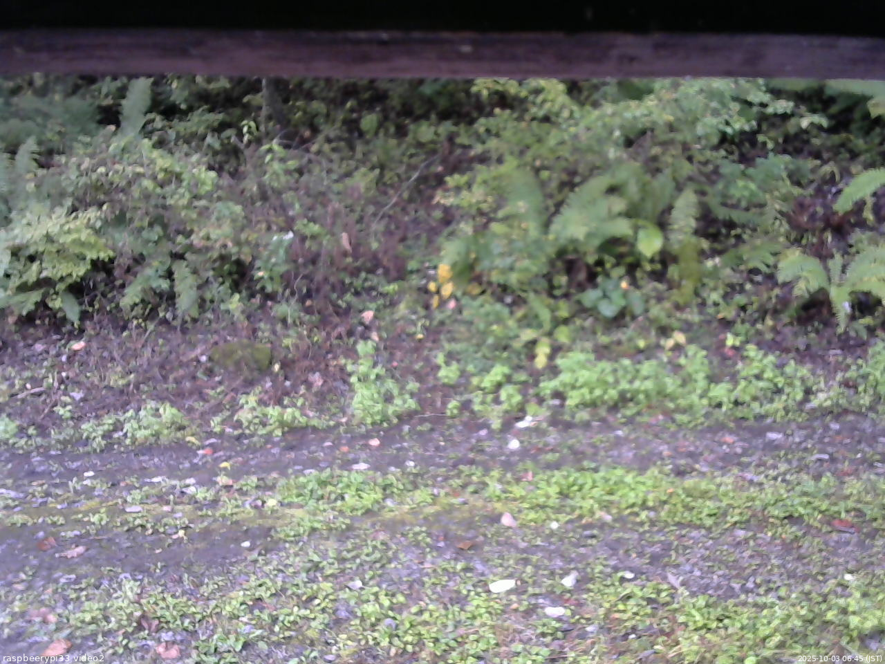 長野県菅平高原 ゆたか山荘 南側 2025/10/03 06:45