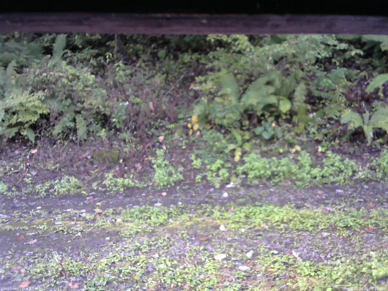 長野県菅平高原 ゆたか山荘 南側 2025/10/03 07:15