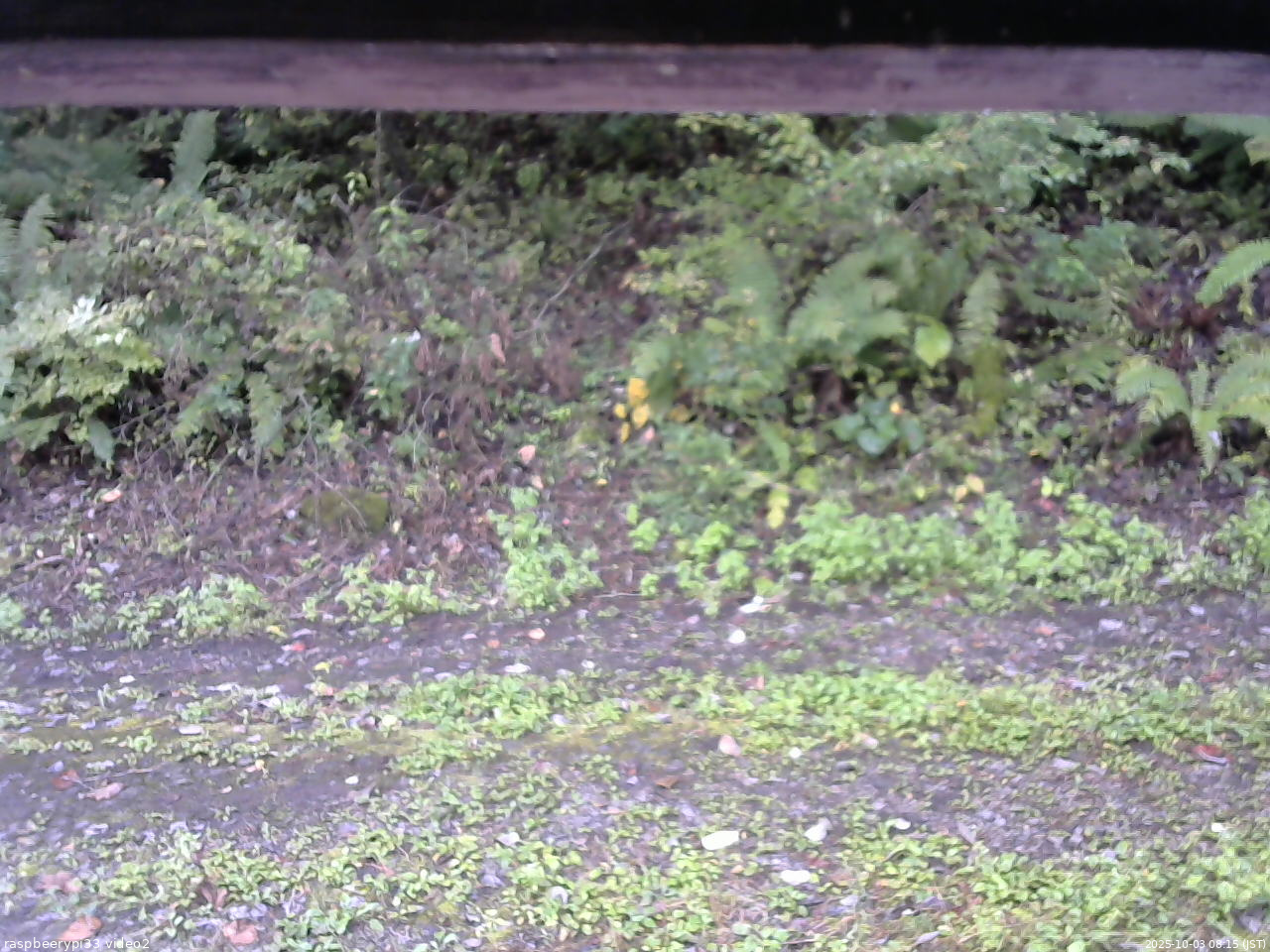 長野県菅平高原 ゆたか山荘 南側 2025/10/03 08:15
