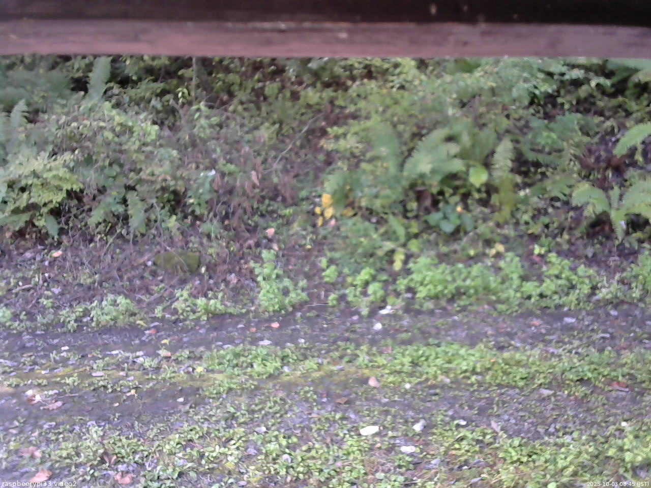 長野県菅平高原 ゆたか山荘 南側 2025/10/03 08:45