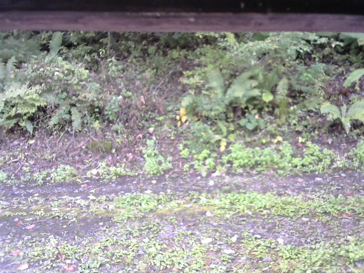 長野県菅平高原 ゆたか山荘 南側 2025/10/03 09:30