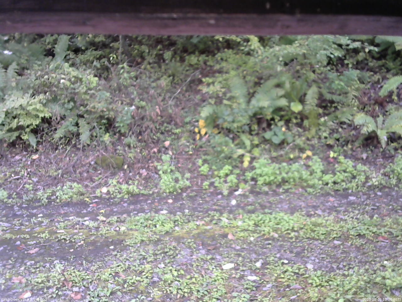 長野県菅平高原 ゆたか山荘 南側 2025/10/03 10:00