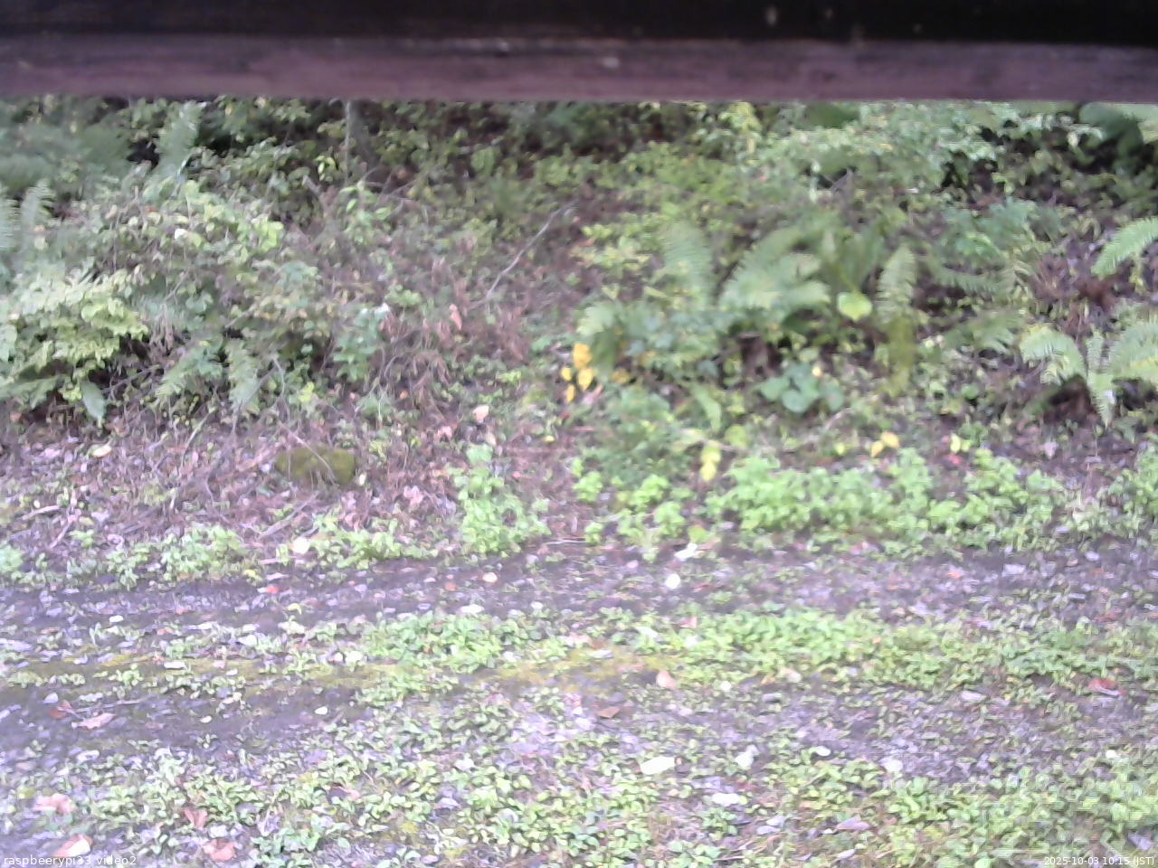 長野県菅平高原 ゆたか山荘 南側 2025/10/03 10:15