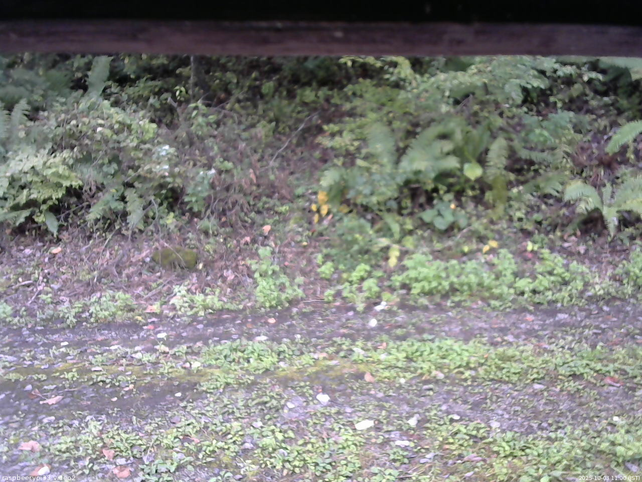 長野県菅平高原 ゆたか山荘 南側 2025/10/03 11:00