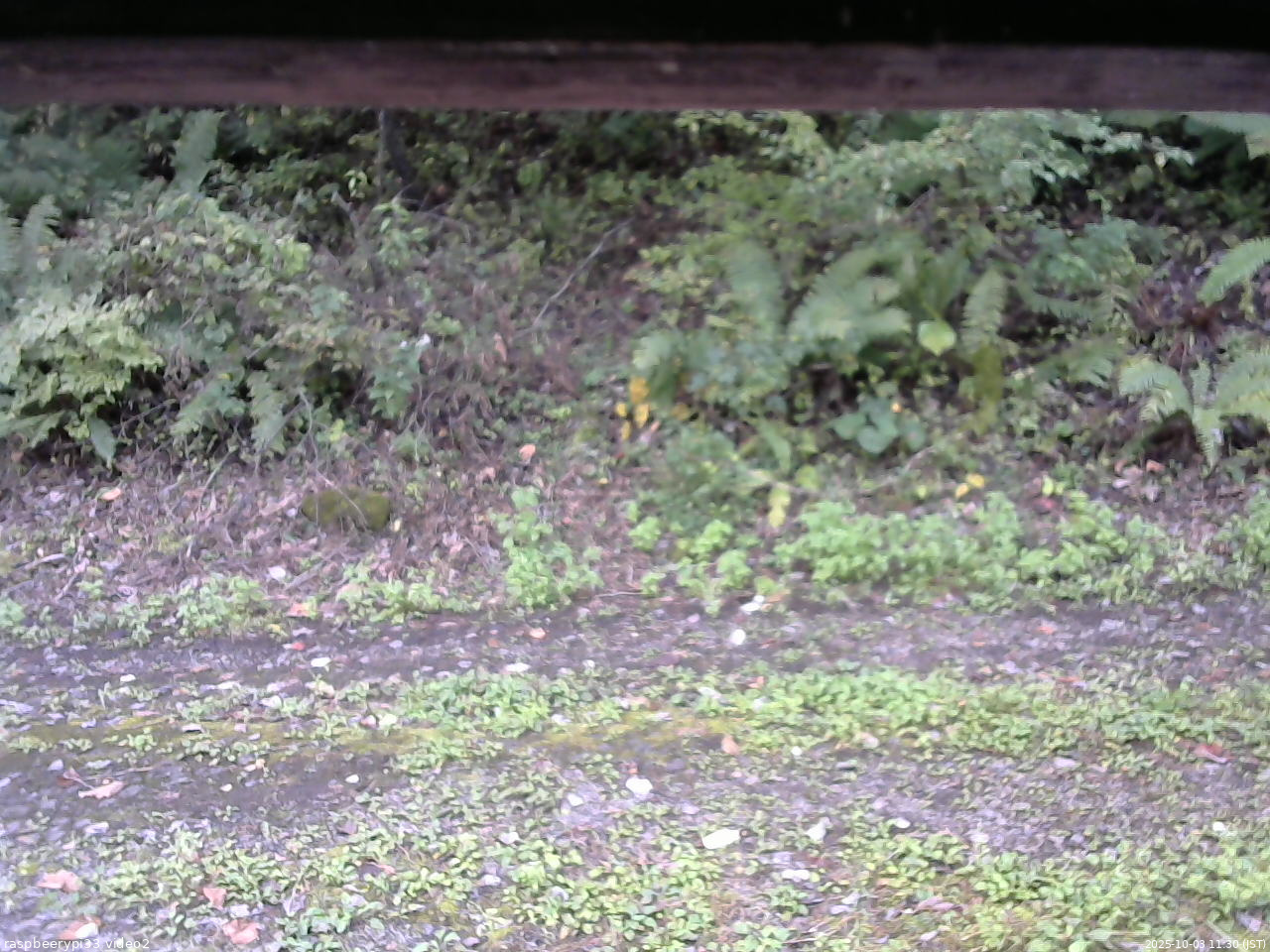 長野県菅平高原 ゆたか山荘 南側 2025/10/03 11:30