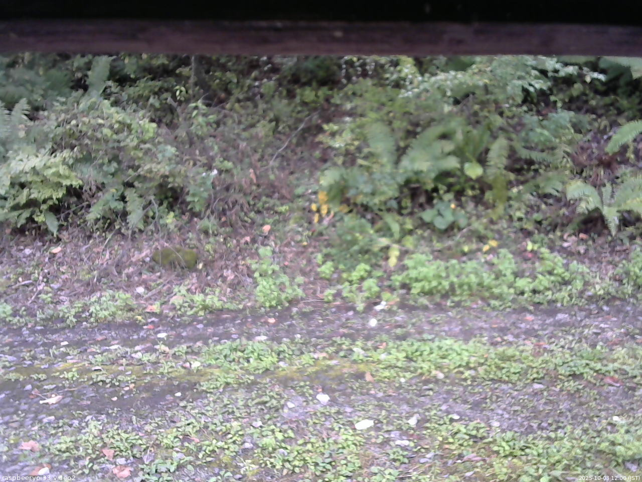 長野県菅平高原 ゆたか山荘 南側 2025/10/03 12:00