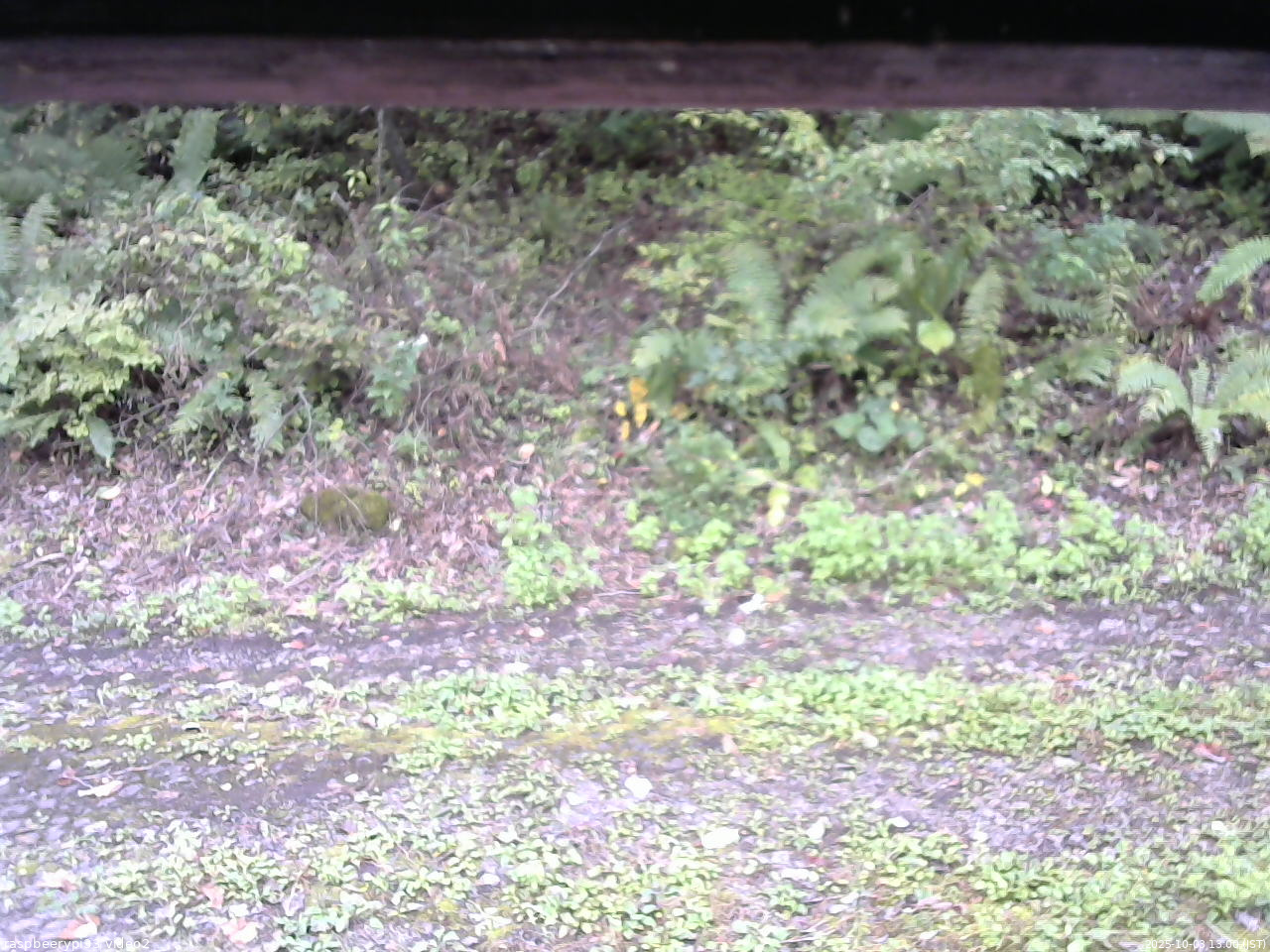 長野県菅平高原 ゆたか山荘 南側 2025/10/03 13:00