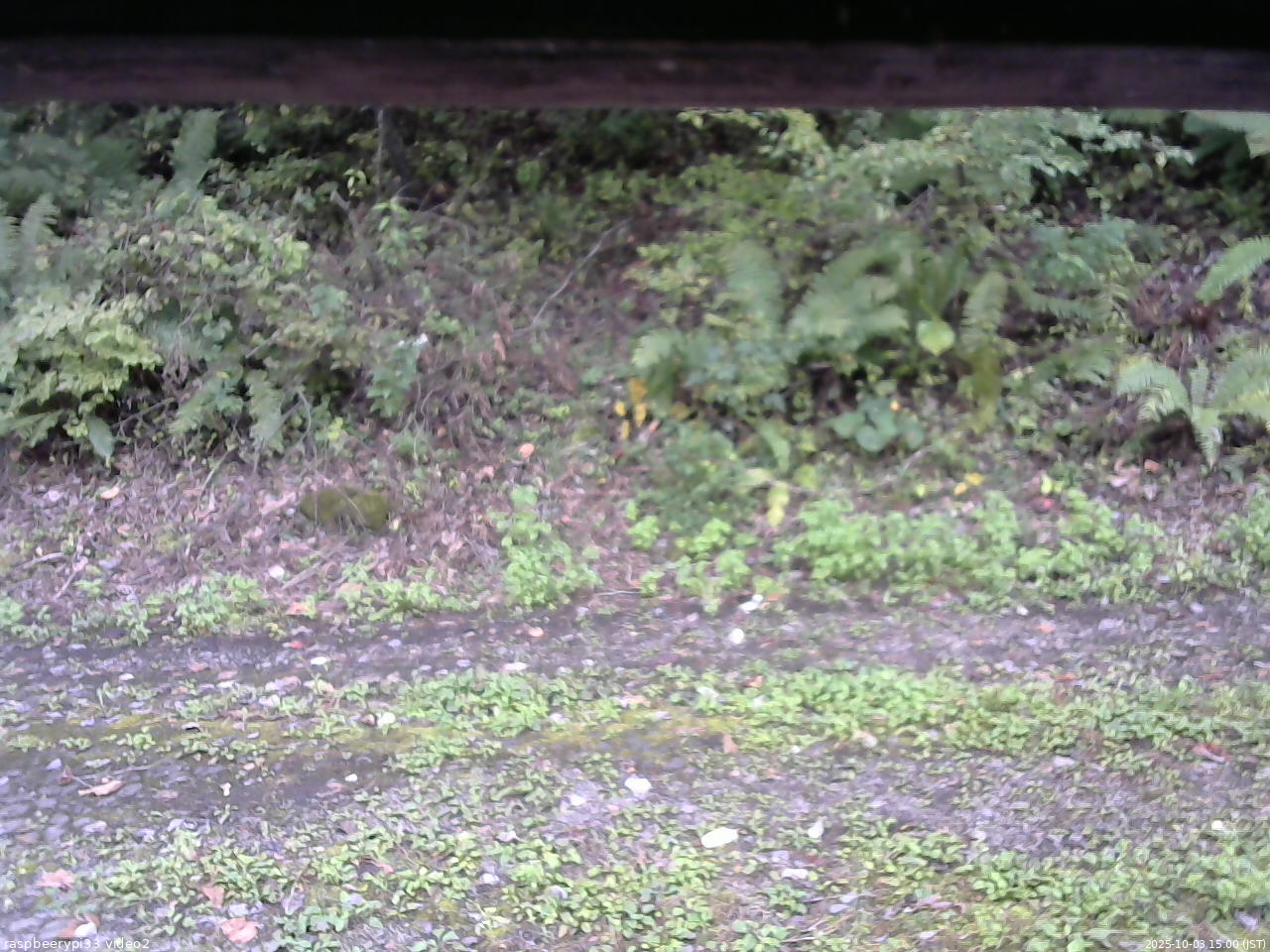 長野県菅平高原 ゆたか山荘 南側 2025/10/03 15:00