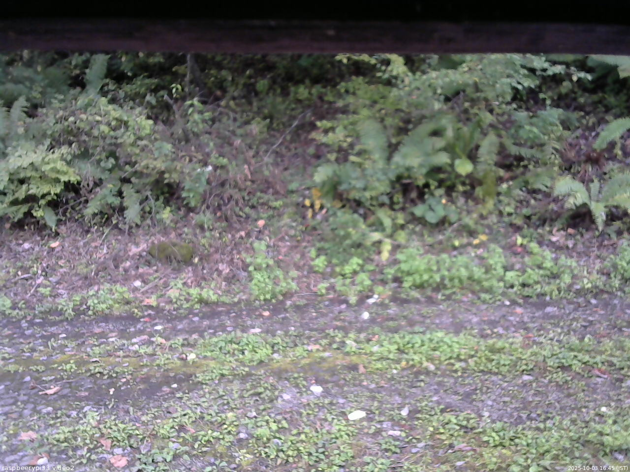 長野県菅平高原 ゆたか山荘 南側 2025/10/03 16:45