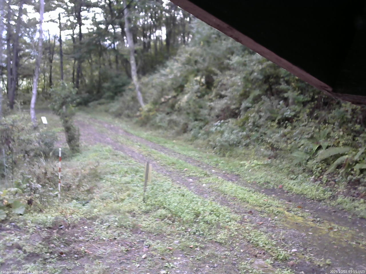 長野県菅平高原 ゆたか山荘 東側(坂下) 2025/10/03 07:15
