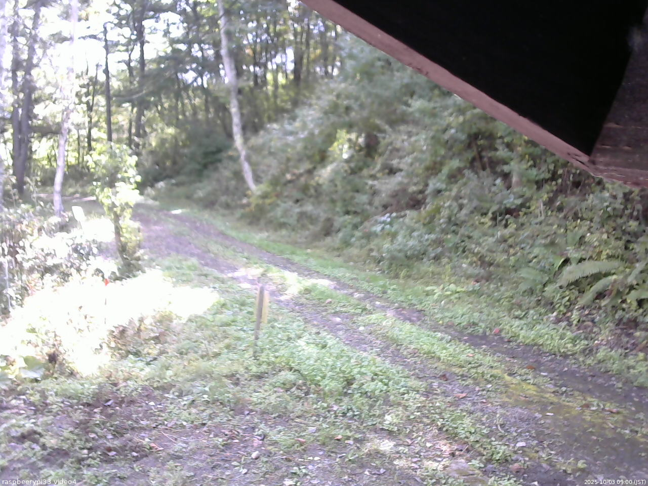 長野県菅平高原 ゆたか山荘 東側(坂下) 2025/10/03 09:00