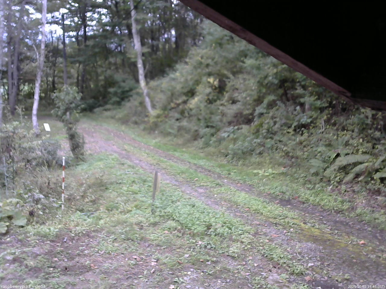 長野県菅平高原 ゆたか山荘 東側(坂下) 2025/10/03 15:45