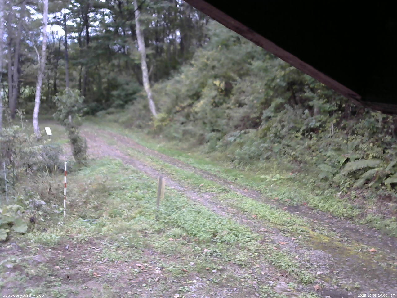 長野県菅平高原 ゆたか山荘 東側(坂下) 2025/10/03 16:00