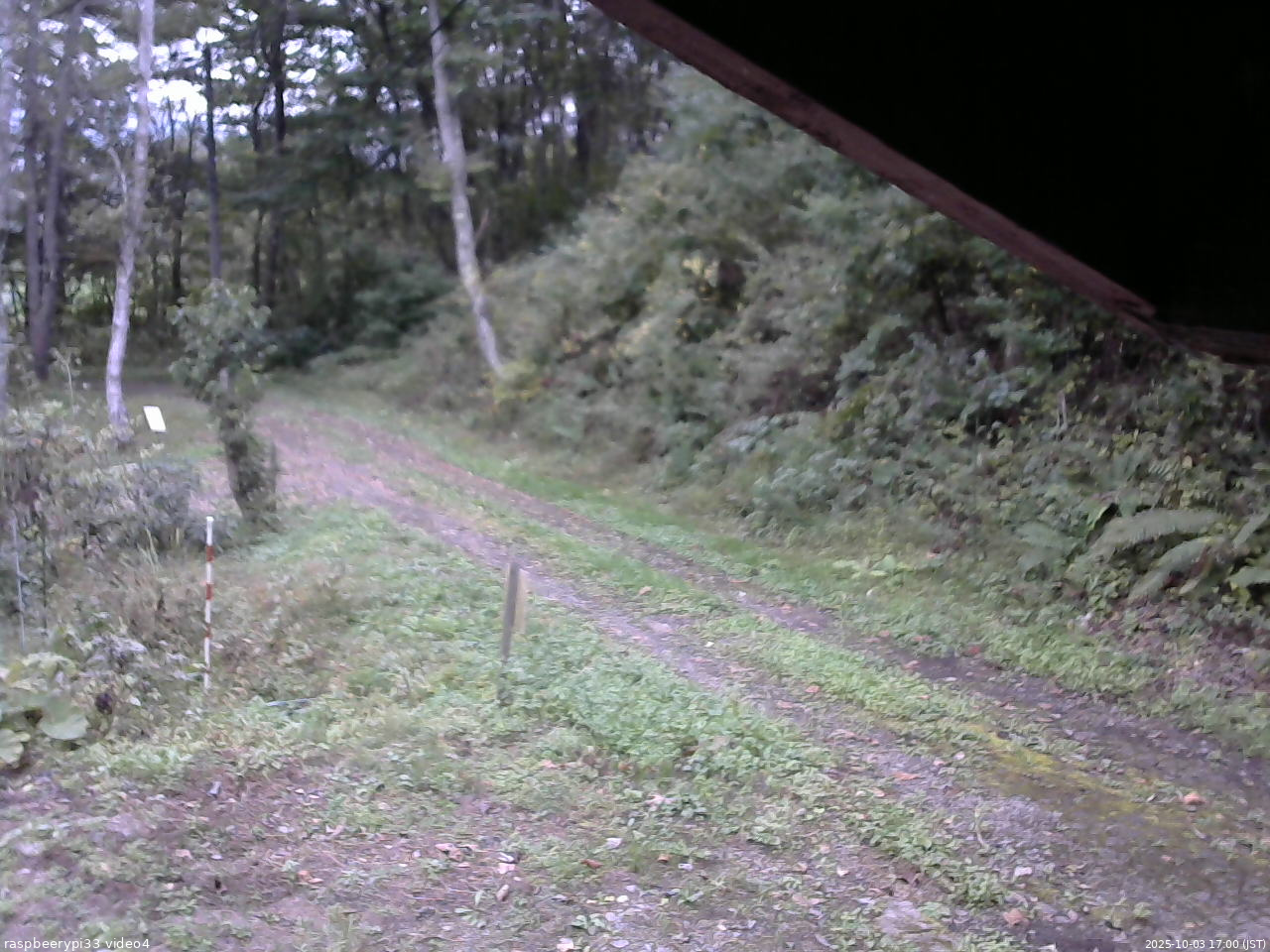 長野県菅平高原 ゆたか山荘 東側(坂下) 2025/10/03 17:00