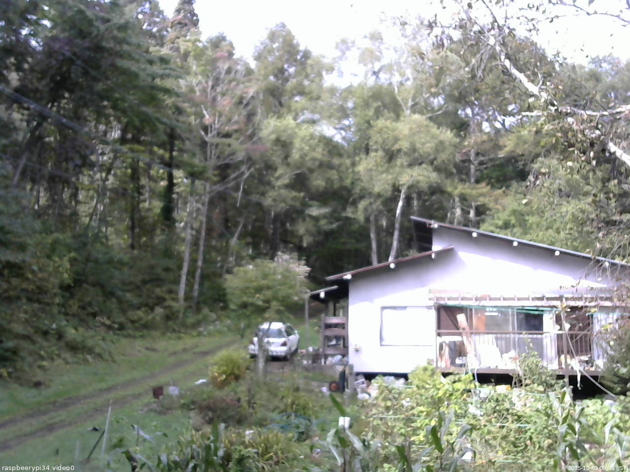 長野県菅平高原 ゆたか山荘 西側(坂上) 2025/10/03 09:30