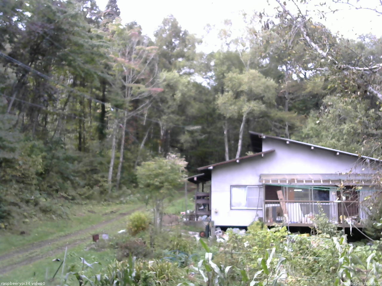長野県菅平高原 ゆたか山荘 西側(坂上) 2025/10/03 11:00