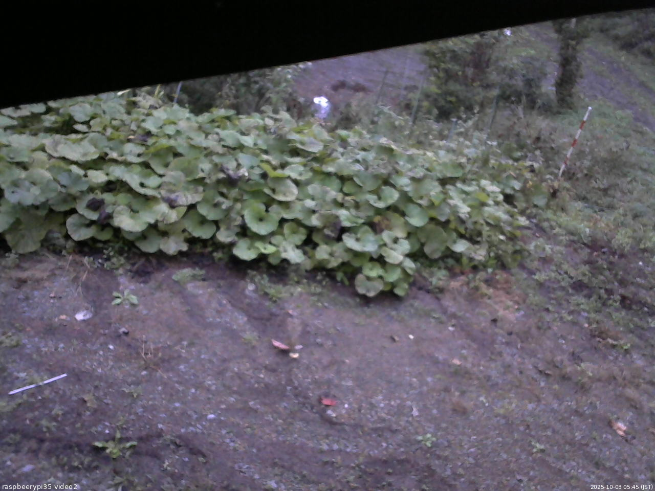 長野県菅平高原 ゆたか山荘 駐車場 2025/10/03 05:45