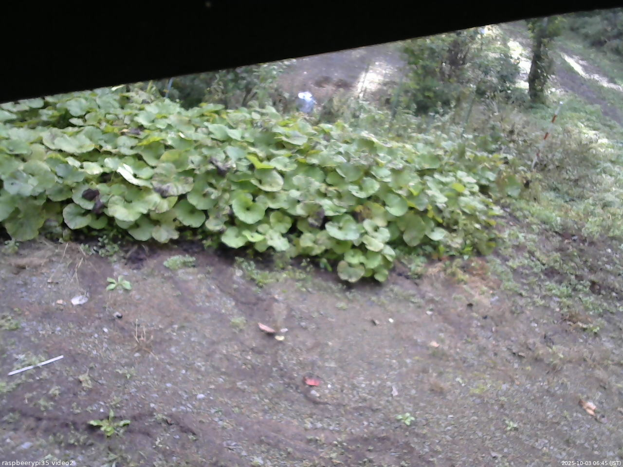 長野県菅平高原 ゆたか山荘 駐車場 2025/10/03 06:45