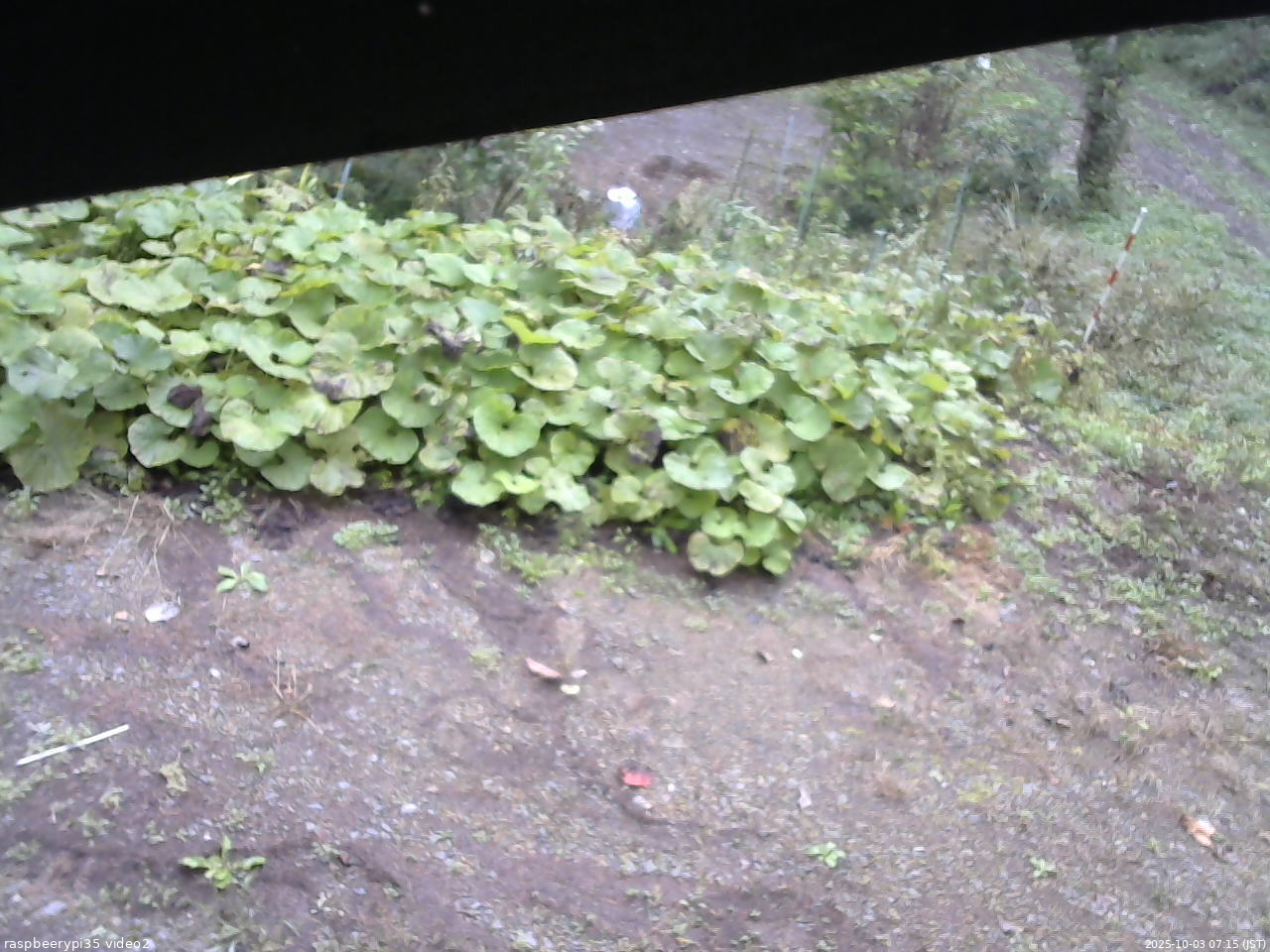 長野県菅平高原 ゆたか山荘 駐車場 2025/10/03 07:15