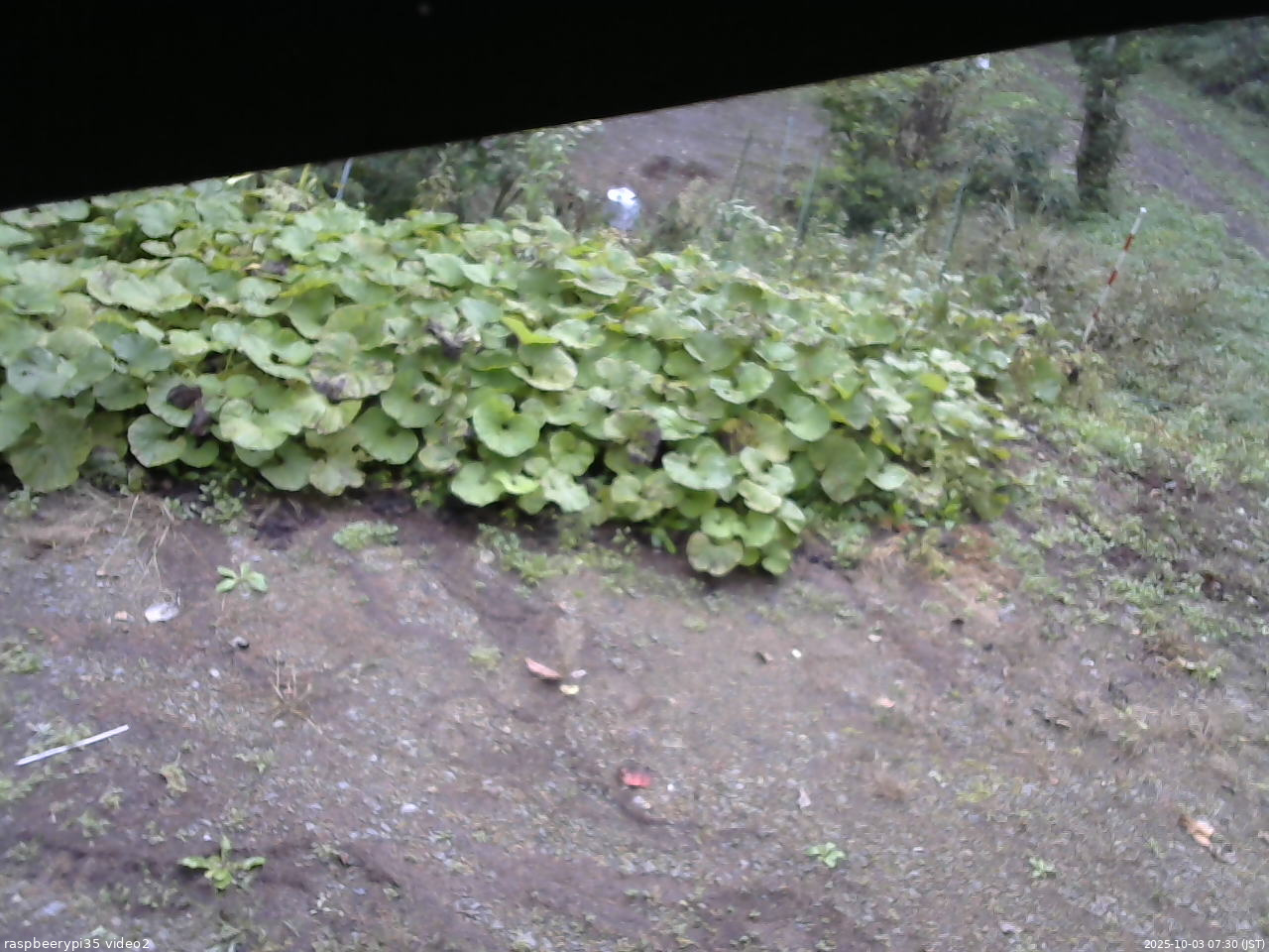 長野県菅平高原 ゆたか山荘 駐車場 2025/10/03 07:30