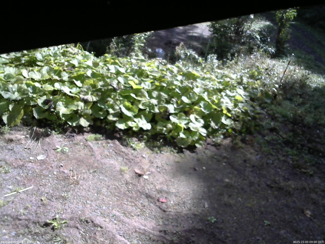 長野県菅平高原 ゆたか山荘 駐車場 2025/10/03 09:00
