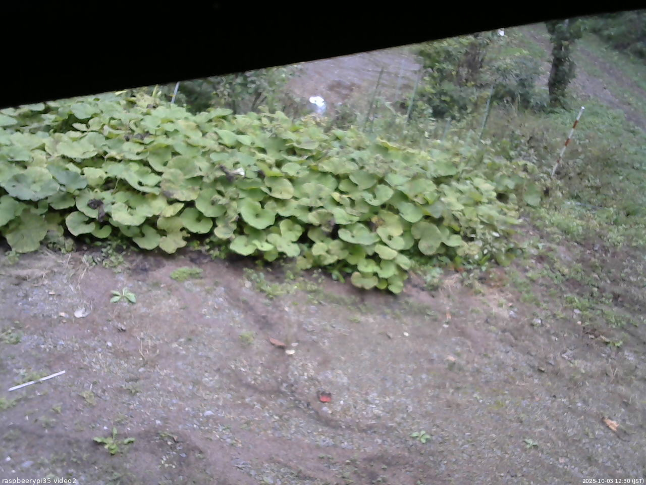 長野県菅平高原 ゆたか山荘 駐車場 2025/10/03 12:30