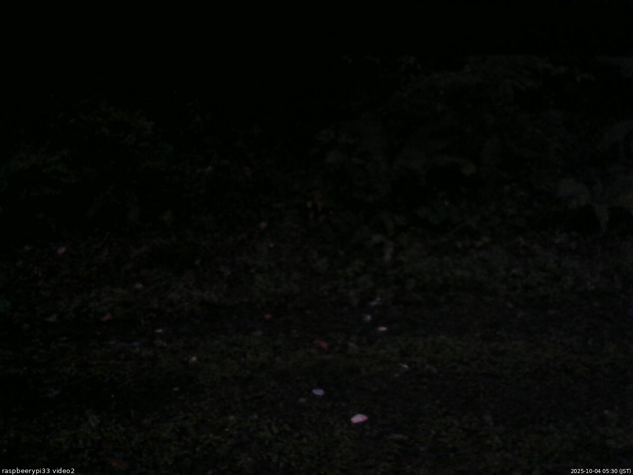 長野県菅平高原 ゆたか山荘 南側 2025/10/04 05:30