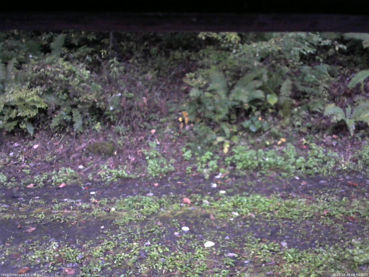 長野県菅平高原 ゆたか山荘 南側 2025/10/04 06:00