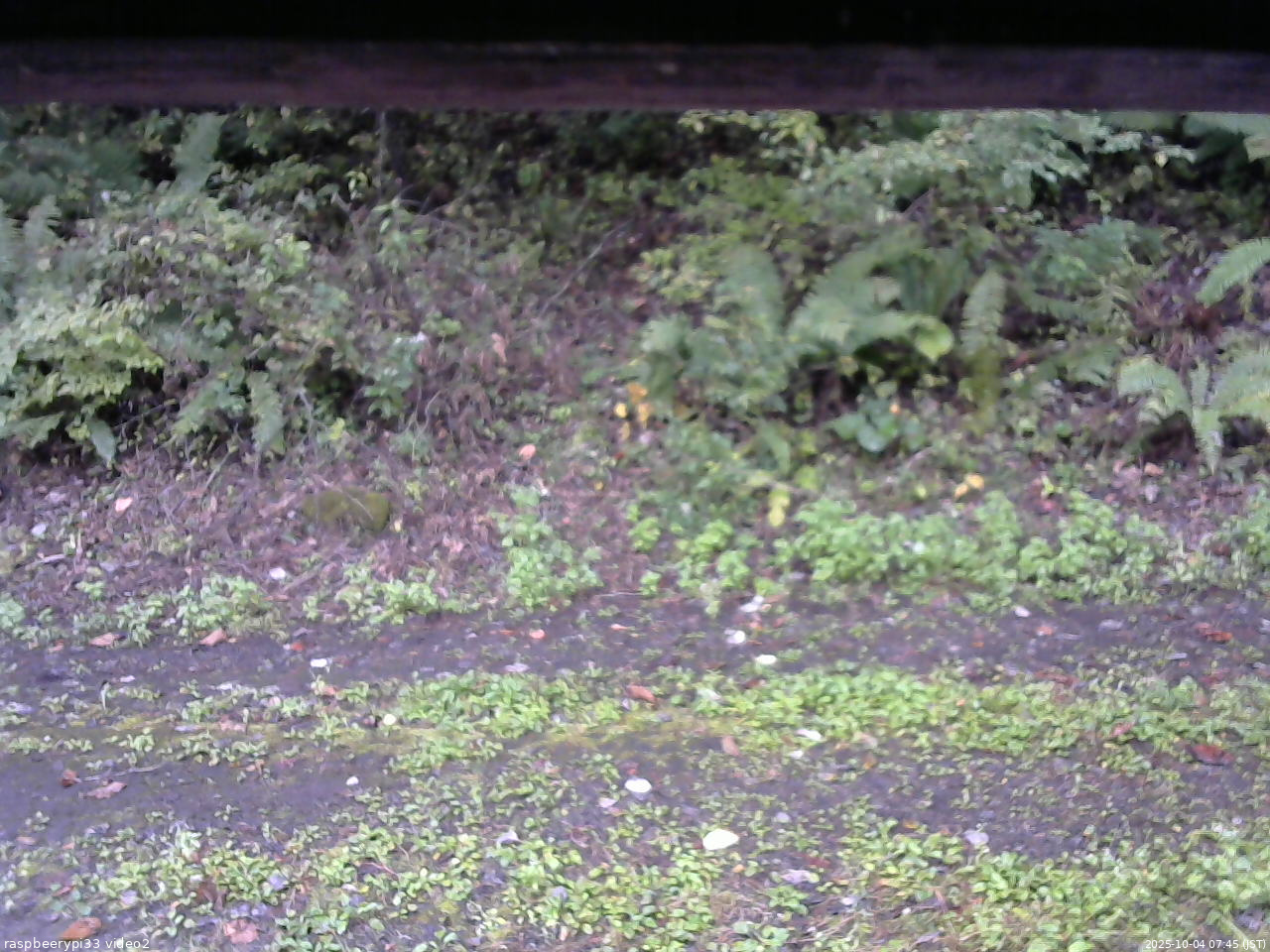 長野県菅平高原 ゆたか山荘 南側 2025/10/04 07:45