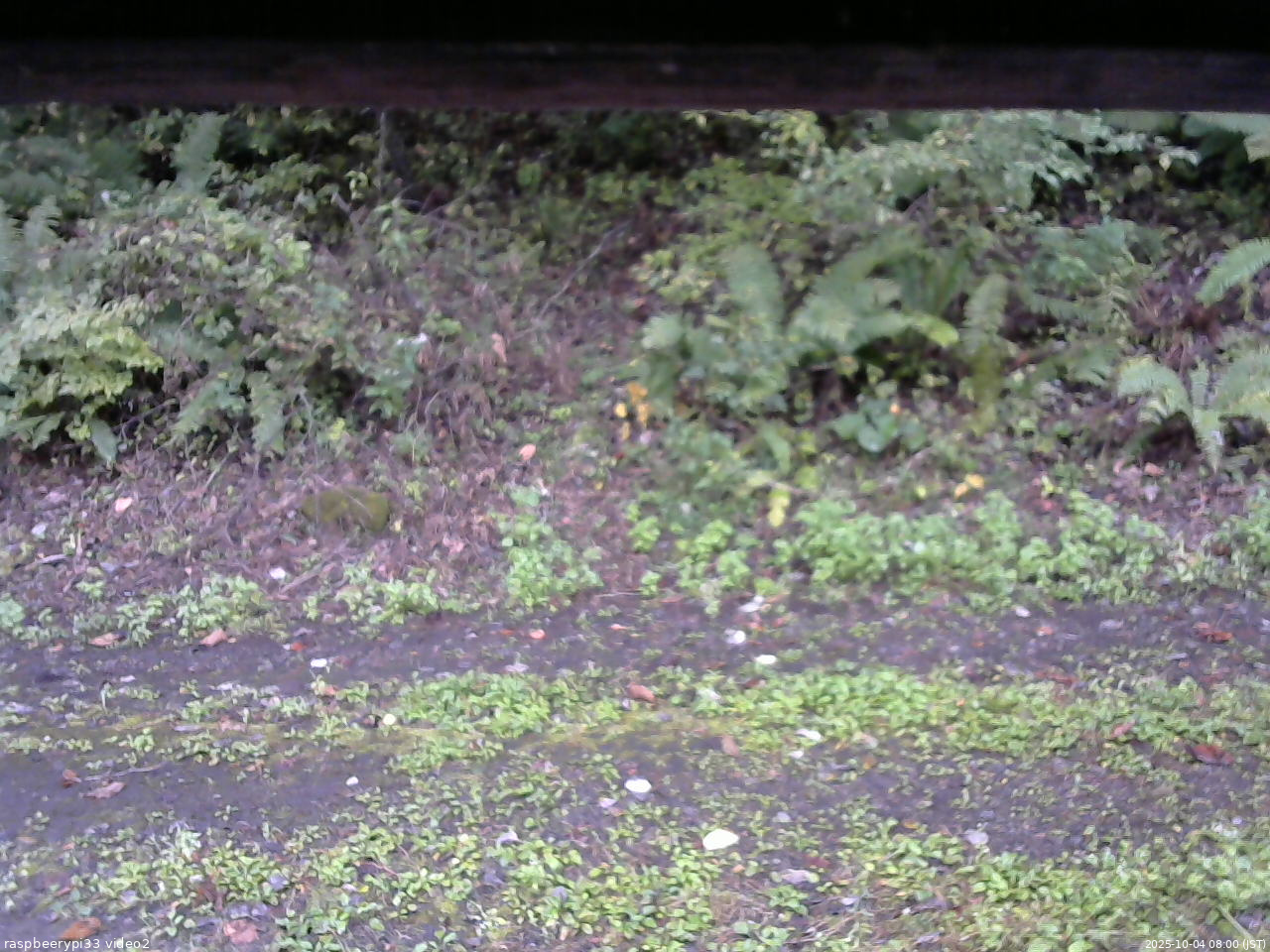 長野県菅平高原 ゆたか山荘 南側 2025/10/04 08:00