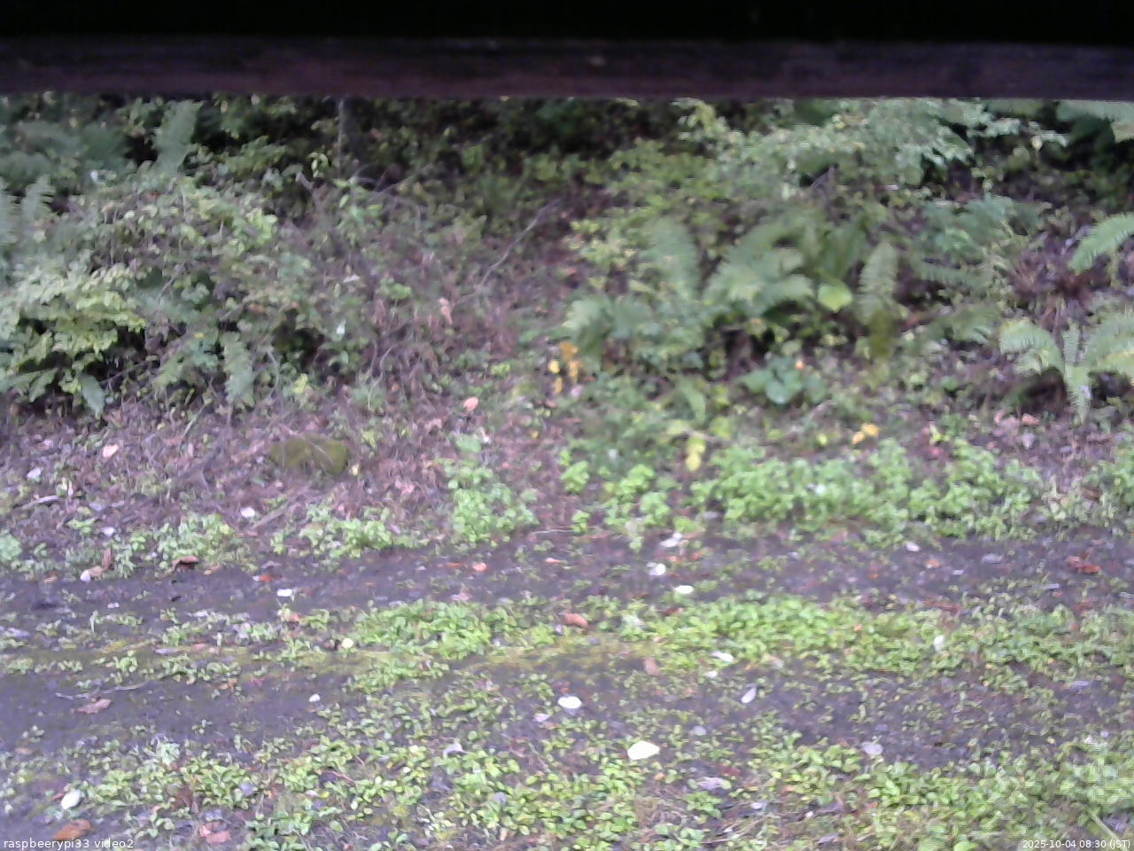 長野県菅平高原 ゆたか山荘 南側 2025/10/04 08:30