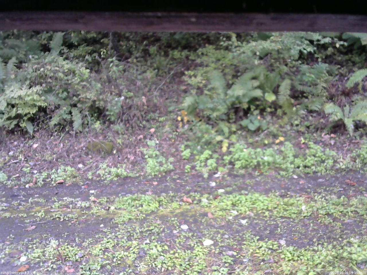 長野県菅平高原 ゆたか山荘 南側 2025/10/04 09:15