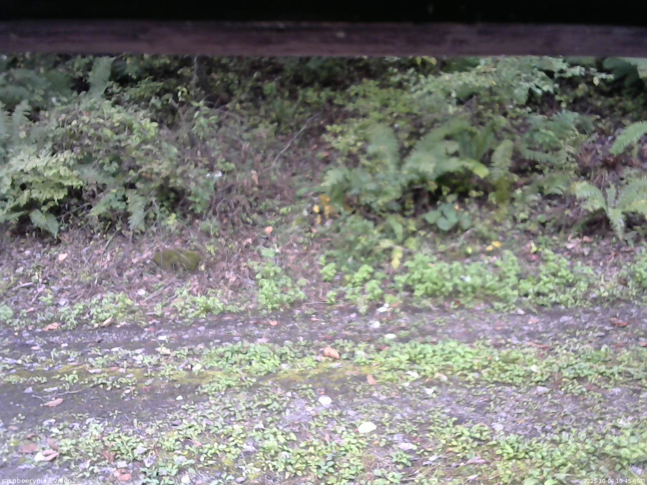 長野県菅平高原 ゆたか山荘 南側 2025/10/04 10:45