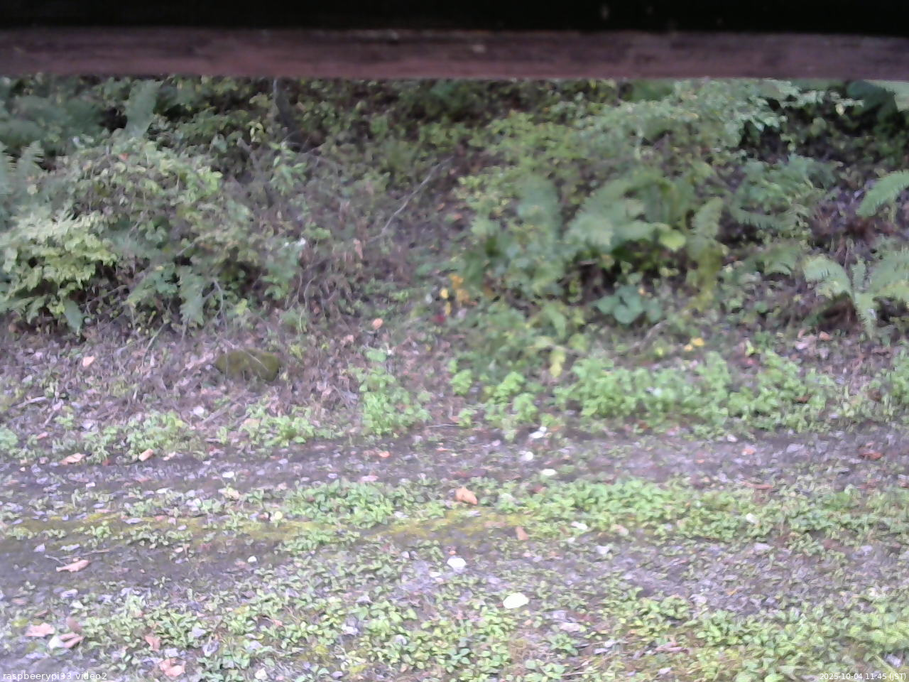 長野県菅平高原 ゆたか山荘 南側 2025/10/04 11:45