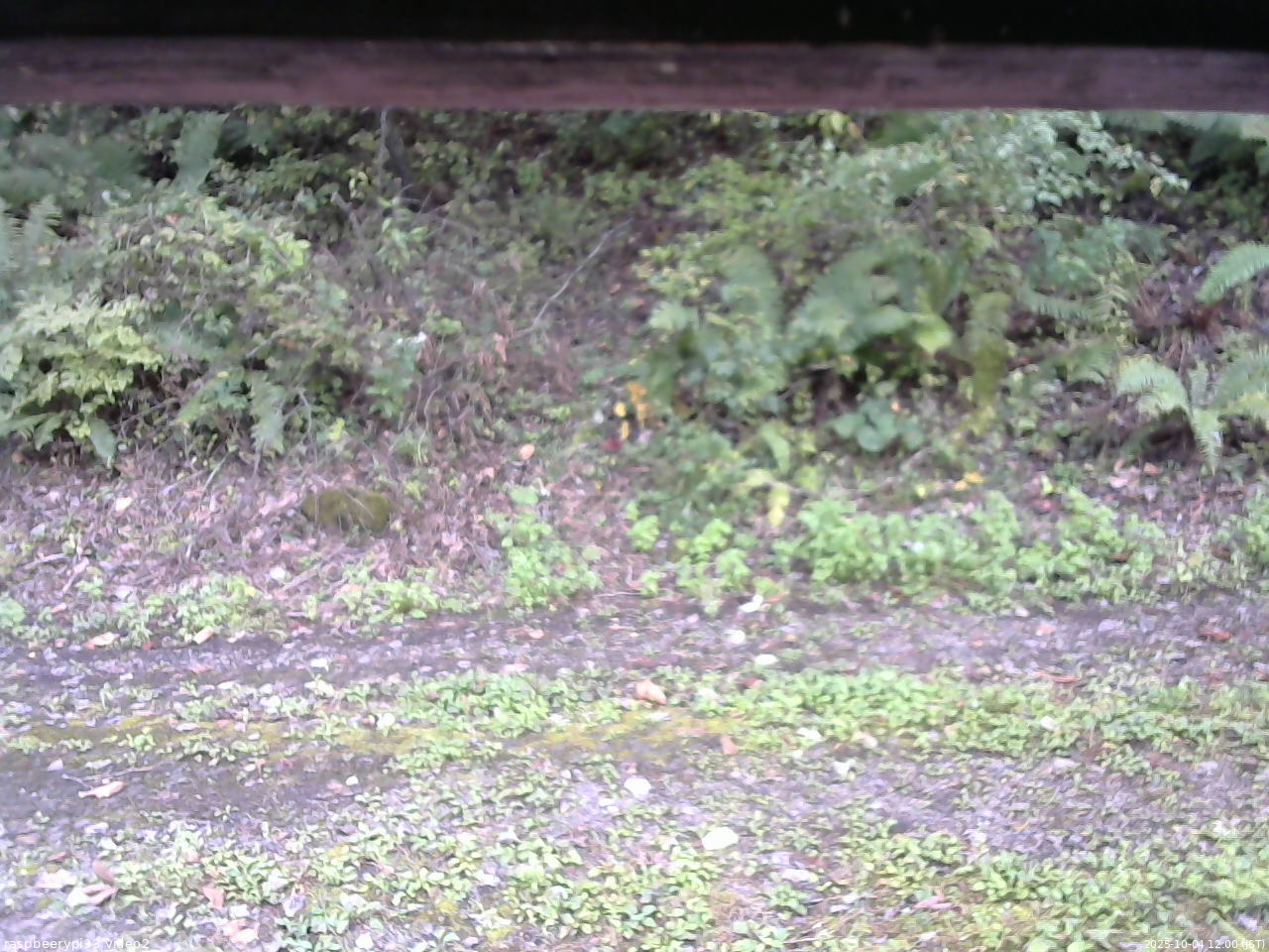 長野県菅平高原 ゆたか山荘 南側 2025/10/04 12:00