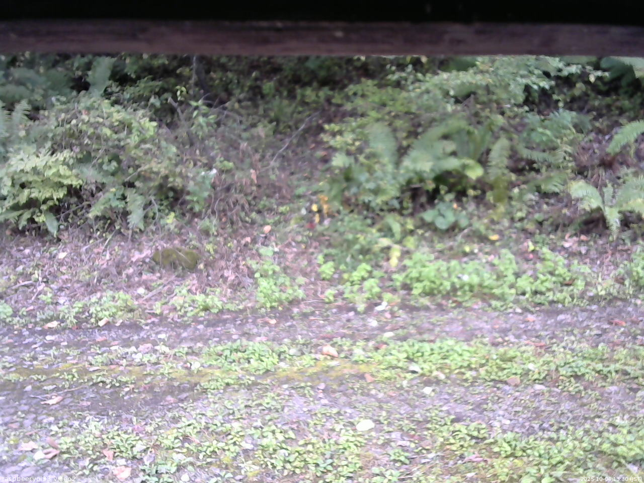 長野県菅平高原 ゆたか山荘 南側 2025/10/04 13:30