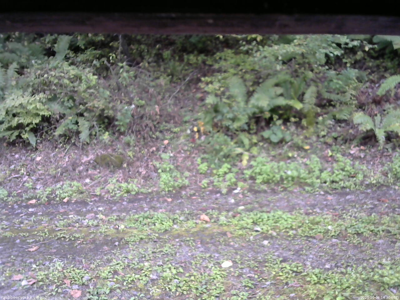 長野県菅平高原 ゆたか山荘 南側 2025/10/04 14:30
