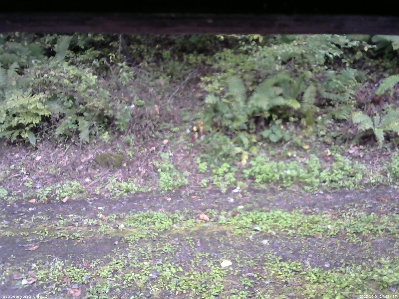 長野県菅平高原 ゆたか山荘 南側 2025/10/04 14:45