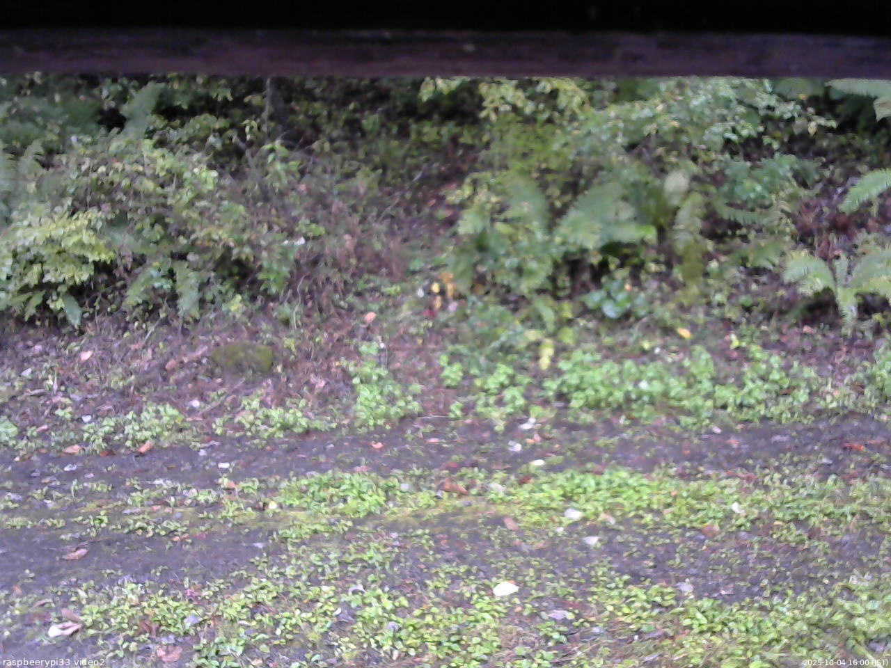 長野県菅平高原 ゆたか山荘 南側 2025/10/04 16:00