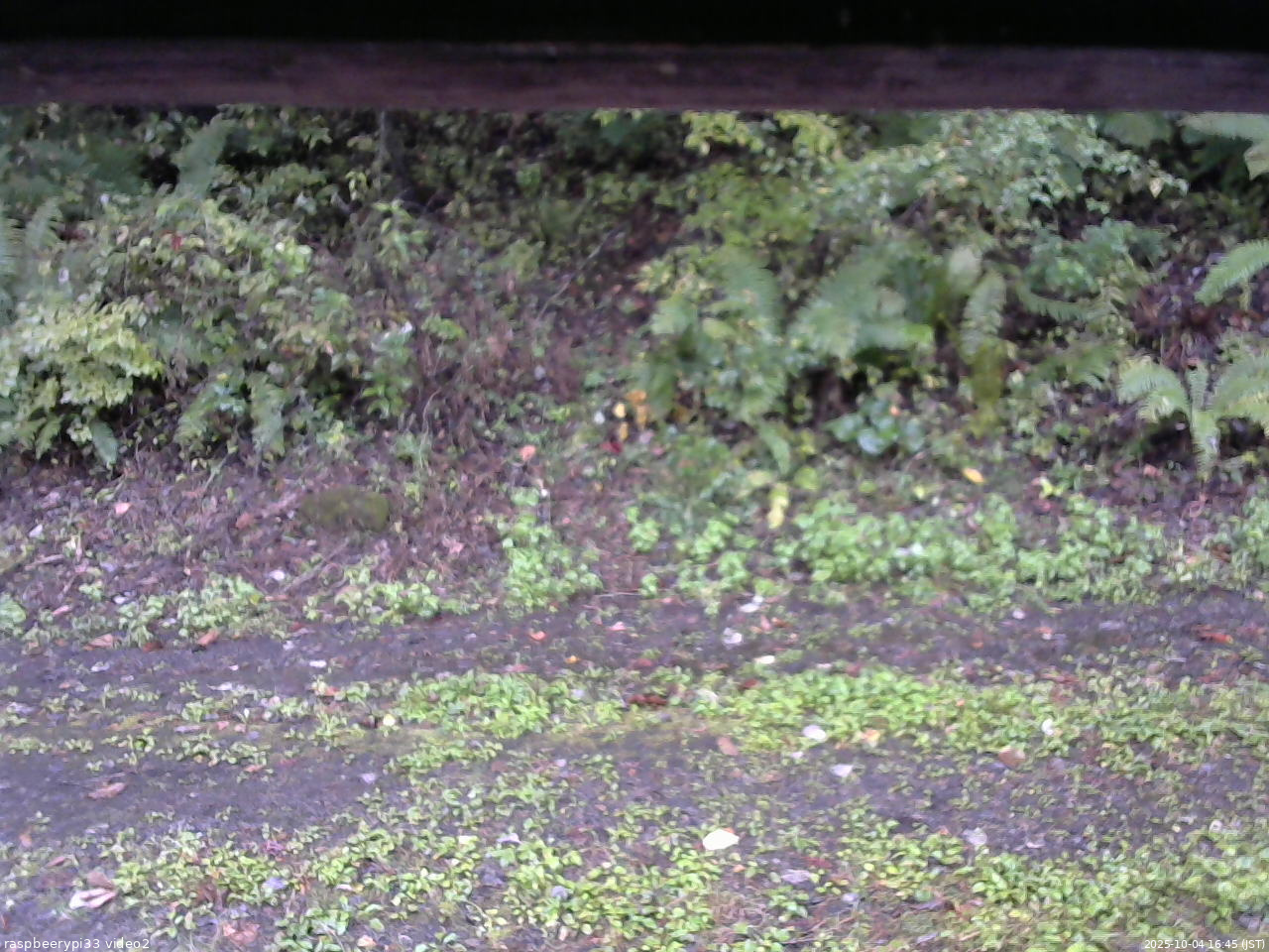 長野県菅平高原 ゆたか山荘 南側 2025/10/04 16:45