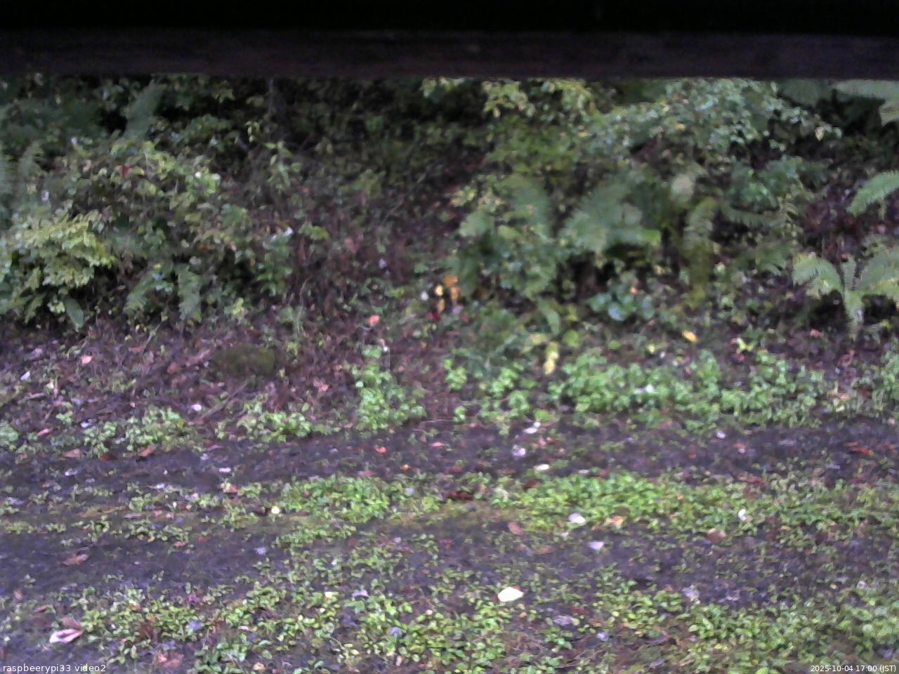 長野県菅平高原 ゆたか山荘 南側 2025/10/04 17:00